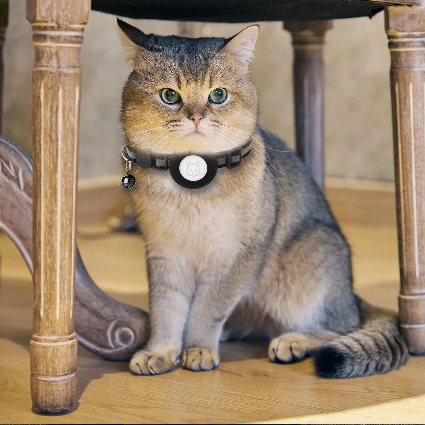 2-Pack Reflective Breakaway Cat Collar with AirTag Case and Bell for Cats, Kittens, and Extra Small Dogs - Black