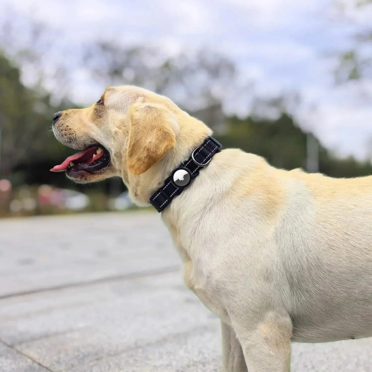 Airtag-Compatible Waterproof Dog Collar with Reflective Soft Padding and Adjustable Fit for Large Breeds