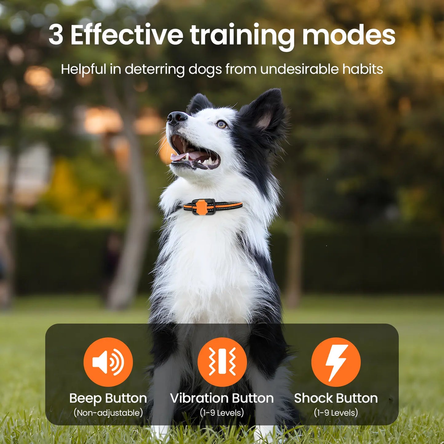【Collar】Dog Training Collar 3300Ft Dog Training Behavior Aid, Remote IPX8 Waterproof with 4 Training Modes, Outdoor Rechargeable E-Collar