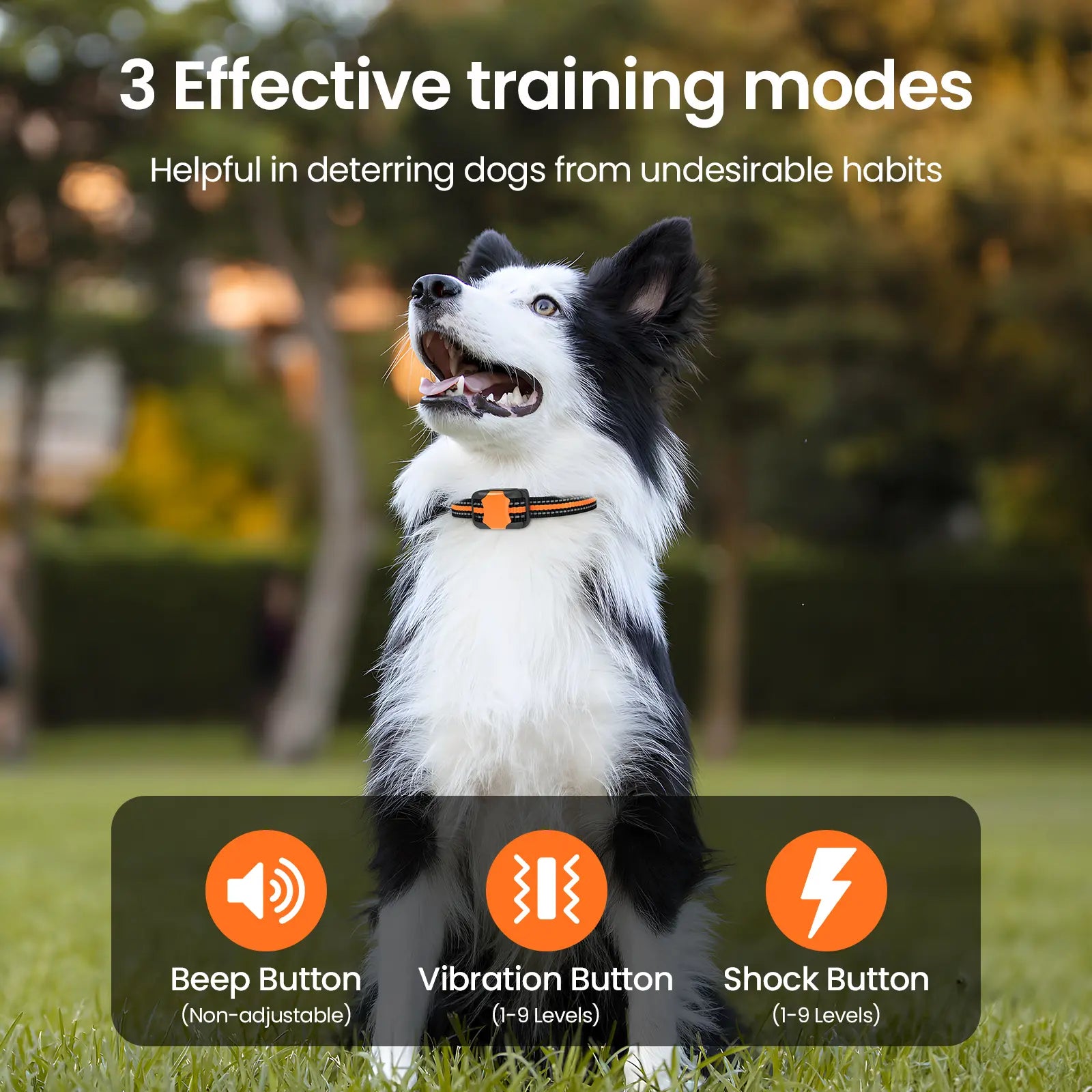 【Collar】Dog Training Collar 3300Ft Dog Training Behavior Aid, Remote IPX8 Waterproof with 4 Training Modes, Outdoor Rechargeable E-Collar