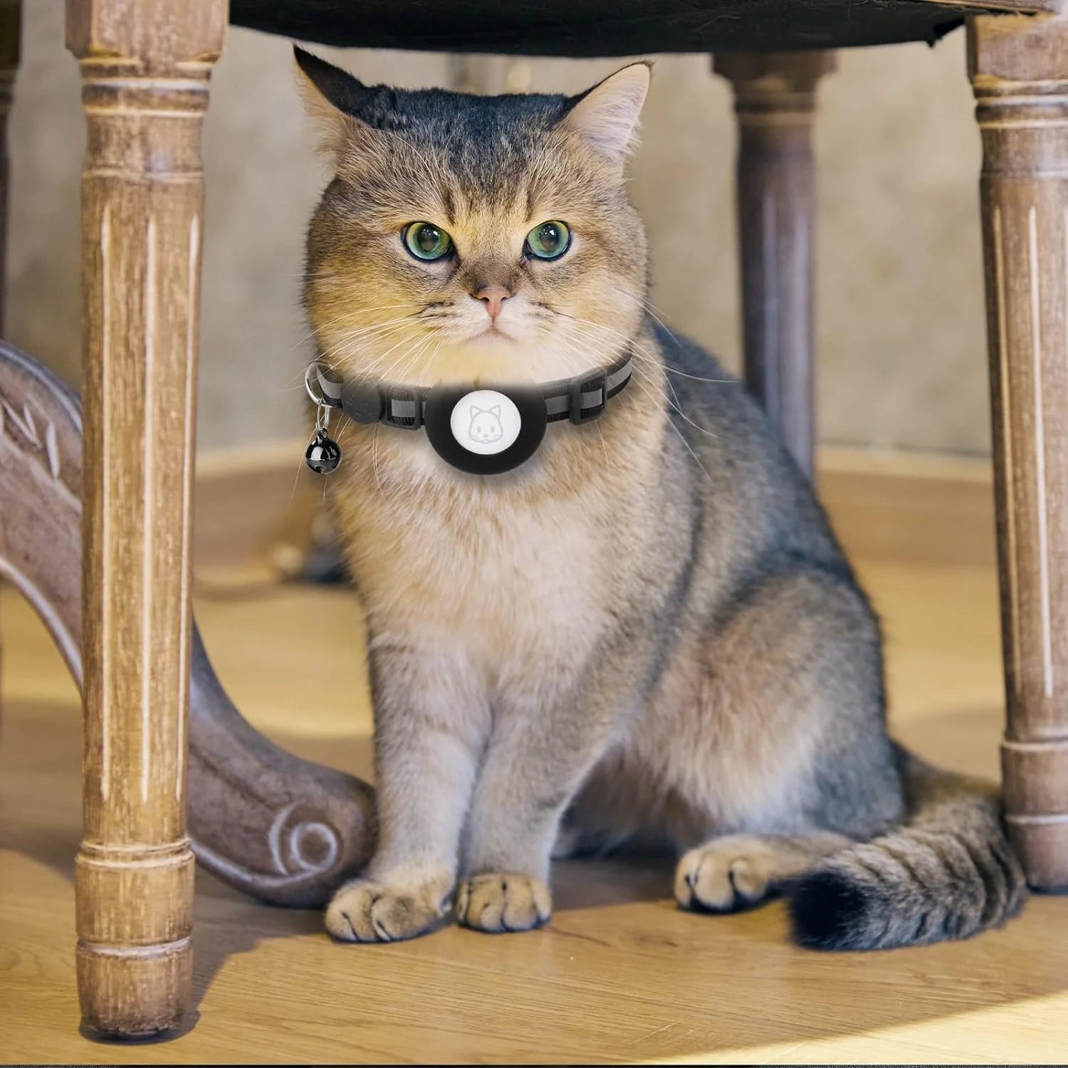 2-Pack Reflective Breakaway Cat Collar with AirTag Case and Bell for Cats, Kittens, and Extra Small Dogs - Black