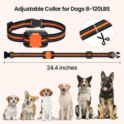 【Collar】Dog Training Collar 3300Ft Dog Training Behavior Aid, Remote IPX8 Waterproof with 4 Training Modes, Outdoor Rechargeable E-Collar