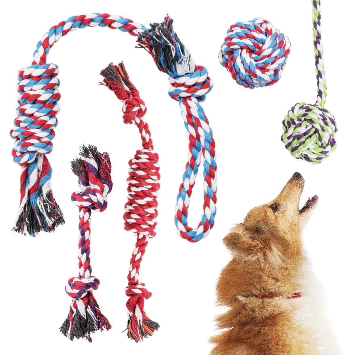 Pacific Pups Premium Rope Dog Toys - Set of 5 for Small and Medium Breeds