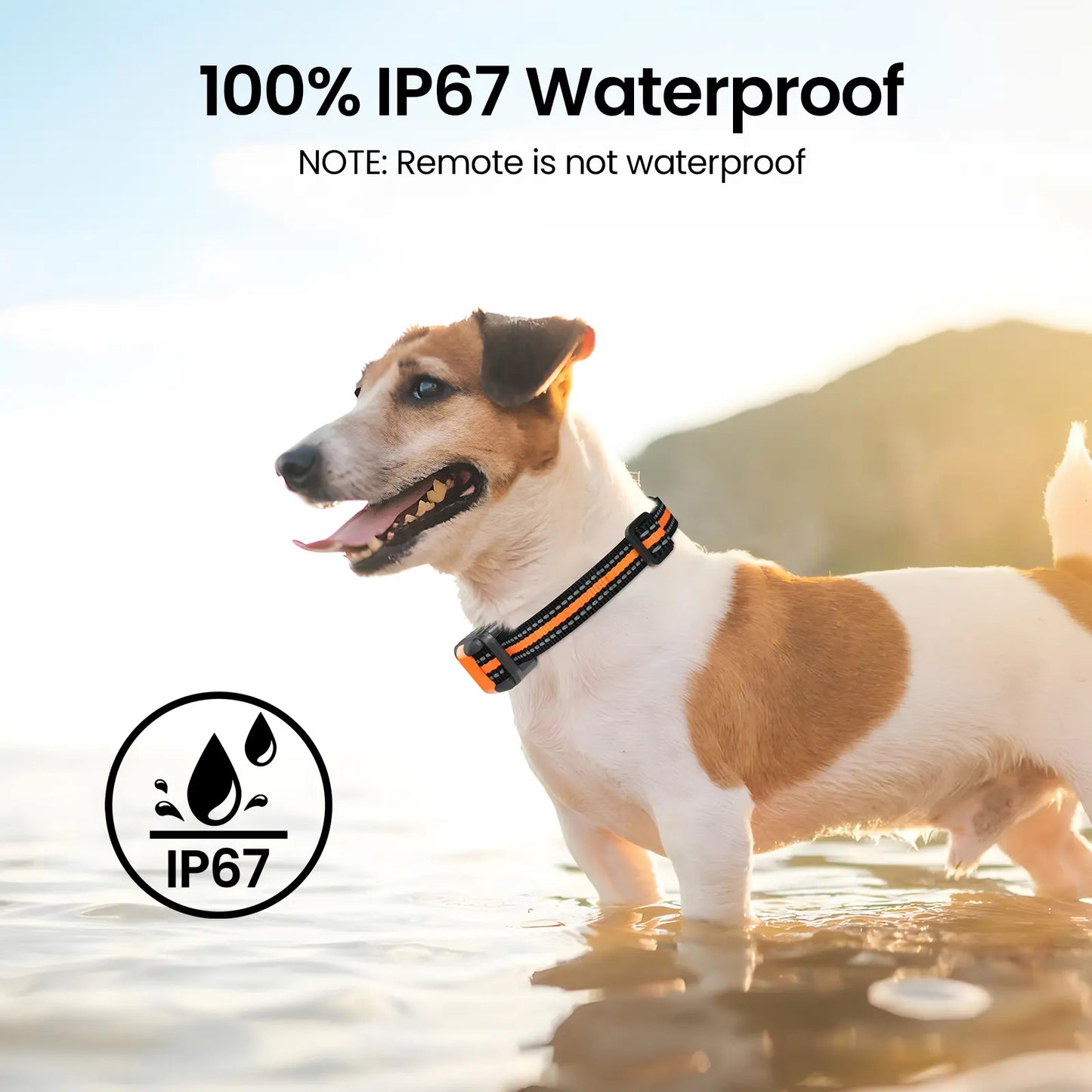 【Collar】Dog Training Collar 3300Ft Dog Training Behavior Aid, Remote IPX8 Waterproof with 4 Training Modes, Outdoor Rechargeable E-Collar