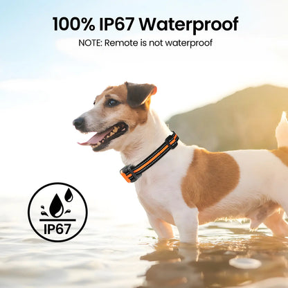 【Collar】Dog Training Collar 3300Ft Dog Training Behavior Aid, Remote IPX8 Waterproof with 4 Training Modes, Outdoor Rechargeable E-Collar