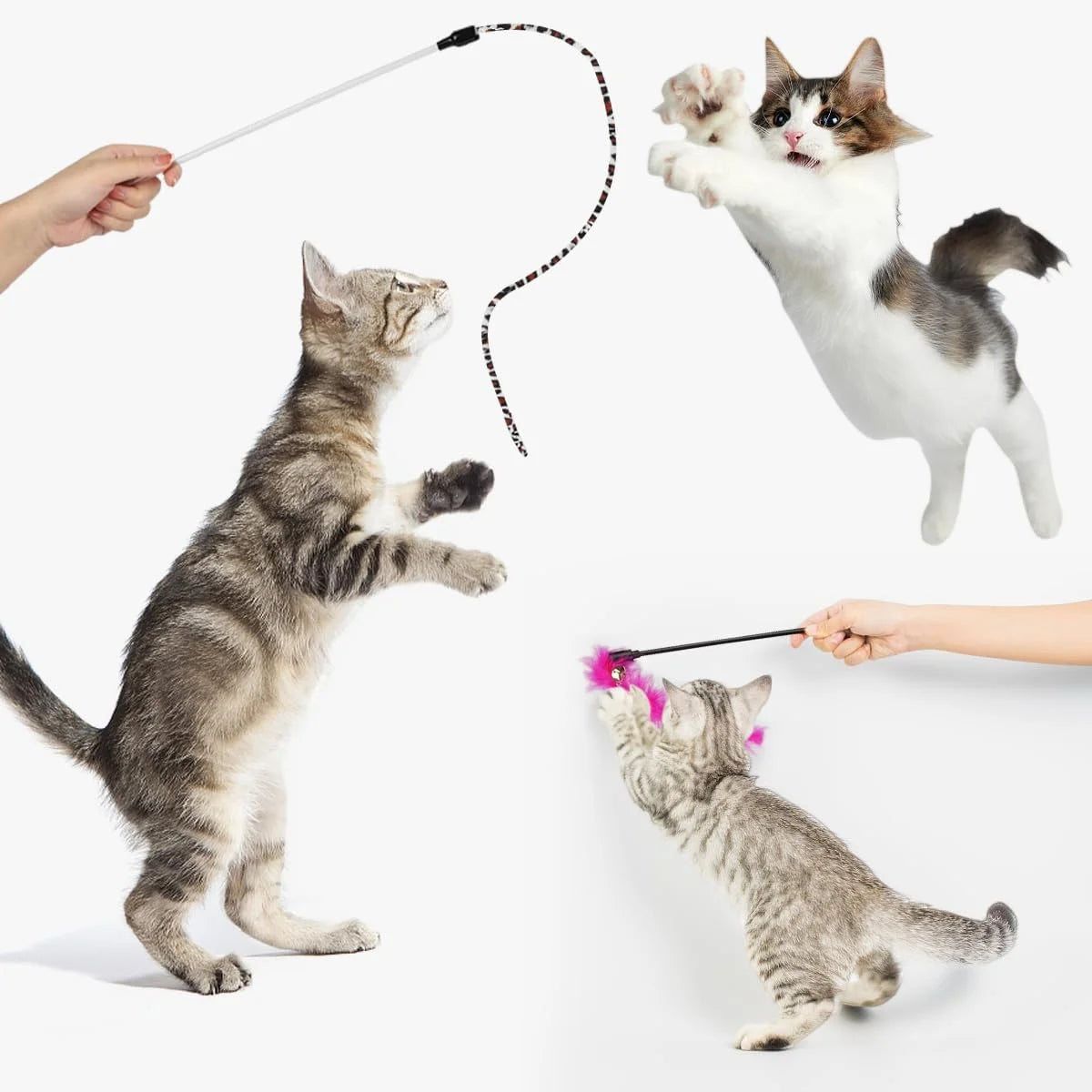 32-Piece Interactive Cat Toy Set with Catnip, Collapsible Rainbow Tunnel, Feather Teaser, Crinkle Balls, and Spring Toys for Cats and Kittens