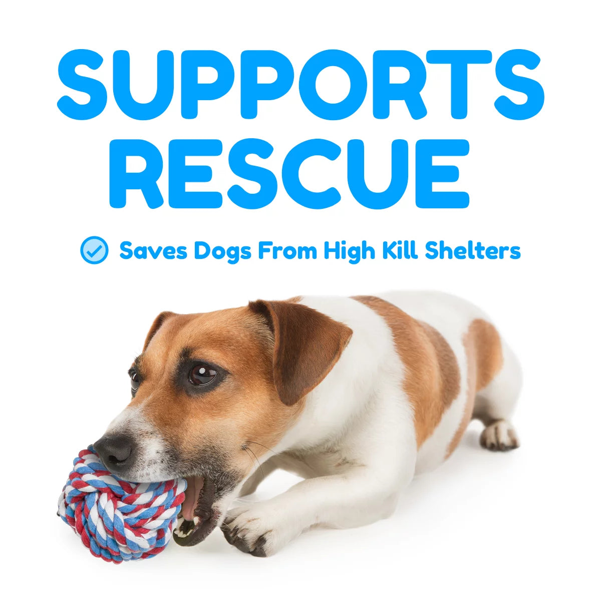 Pacific Pups Premium Rope Dog Toys - Set of 5 for Small and Medium Breeds