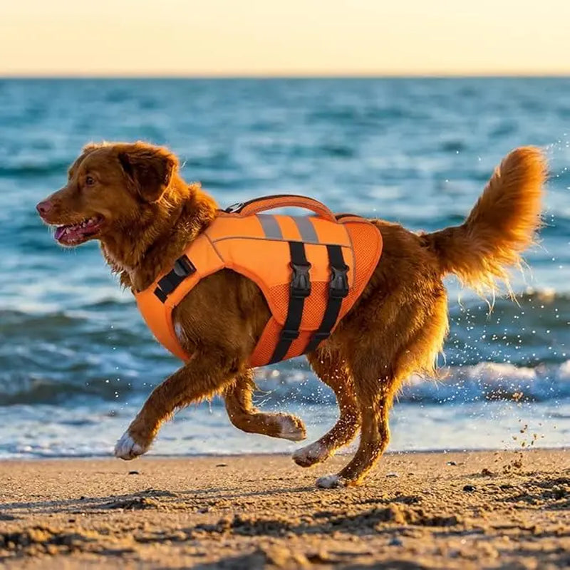 Kuoser Dog Life Jacket Large, High Flotation Puppy Safety Vest for Swimming Boating, Reflective Water Vest Pet Life Preserver with Rescue Handle